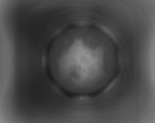 X0000101440165200807071410