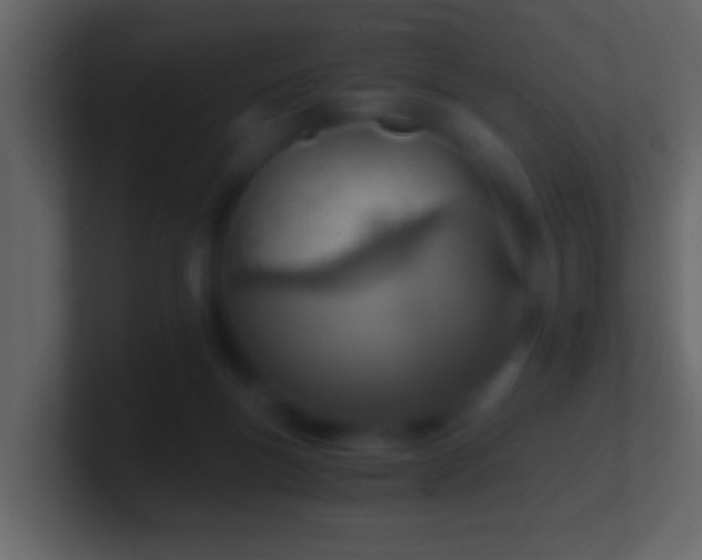 X0000101440167200807071410