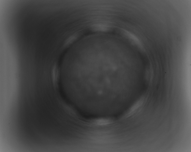 X0000101440168200807071410