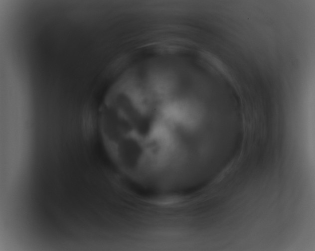 X0000101440169200807071410