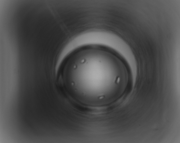 X0000101440172200807071410