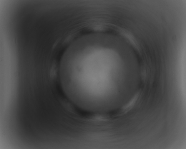 X0000101440175200807071410