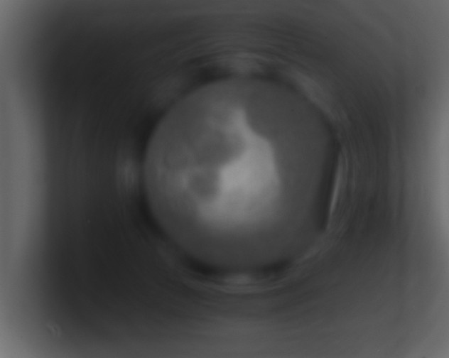 X0000101440177200807071410