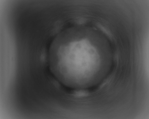 X0000101440181200807071410