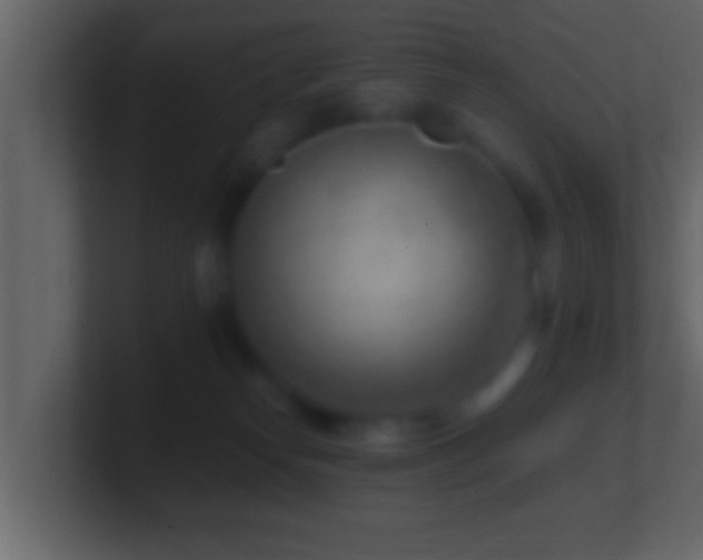 X0000101440182200807071410