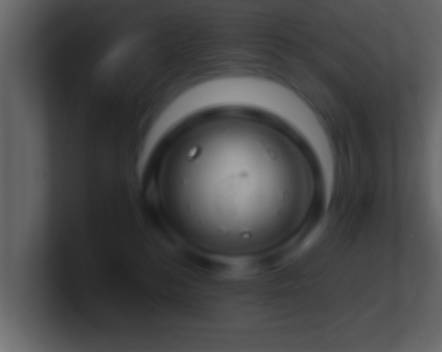 X0000101440184200807071410