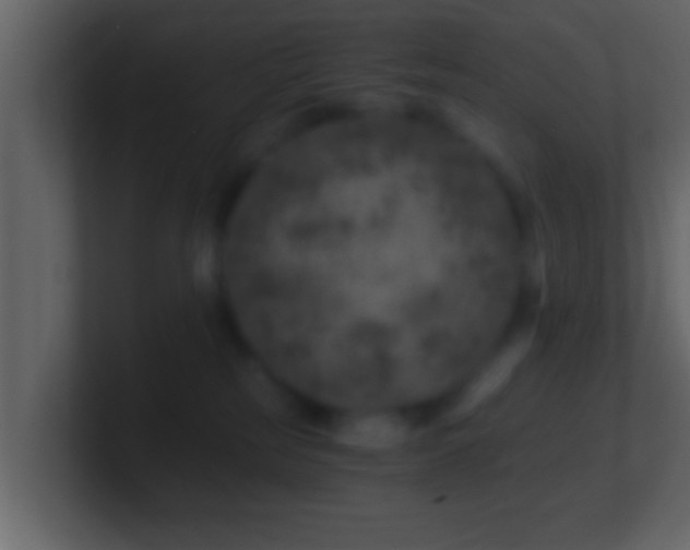 X0000101440185200807071410