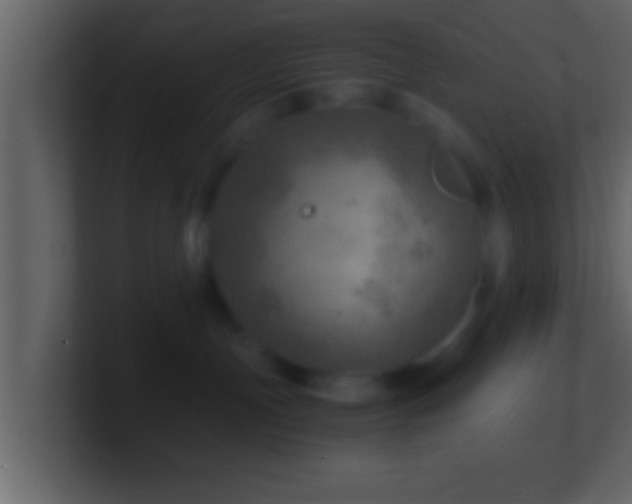 X0000101440191200807071410