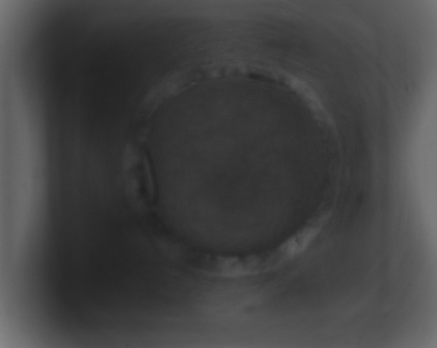 X0000101440192200807071410