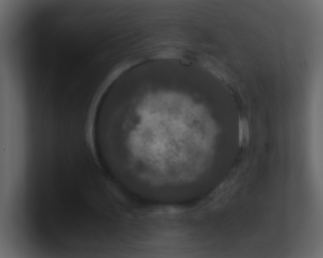 X0000101440195200807071409