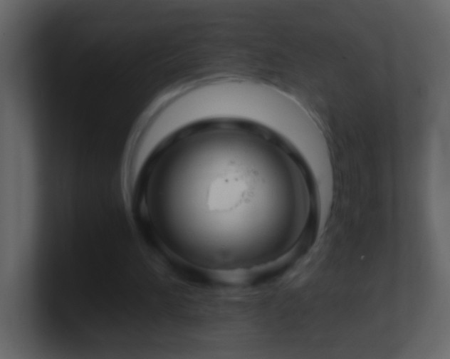 X0000101440196200807071409