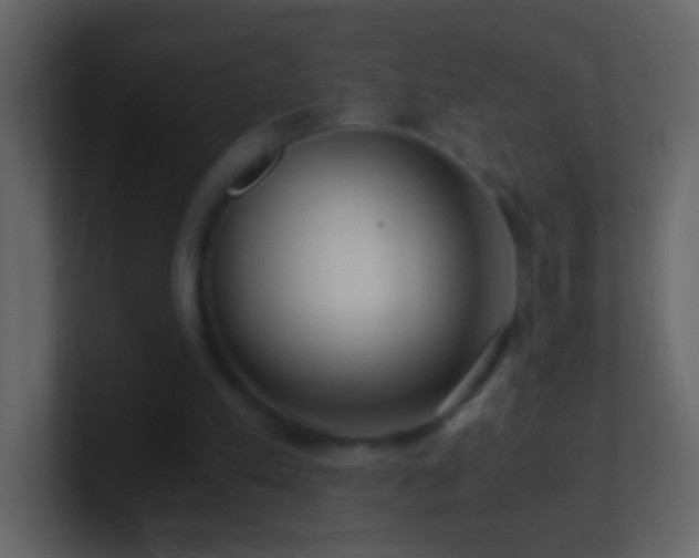 X0000101440197200807071409