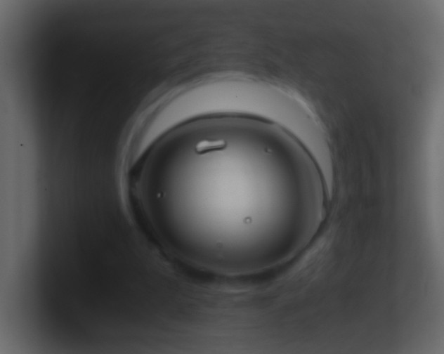 X0000101440199200807071409