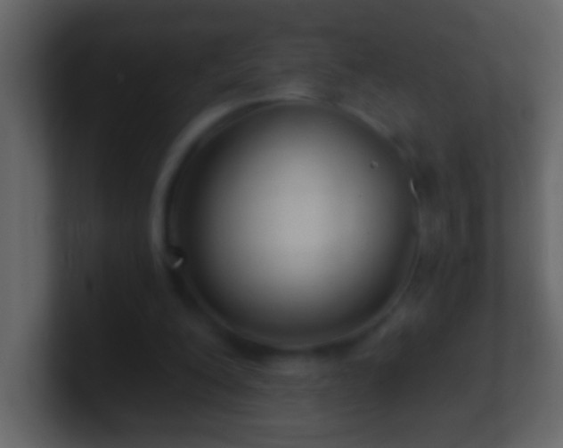 X0000101440200200807071409