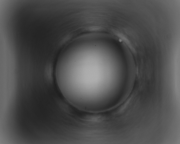 X0000101440201200807071409