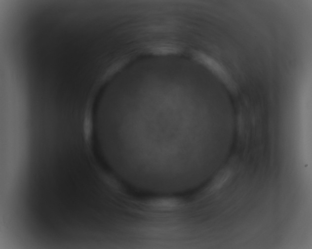 X0000101440202200807071409