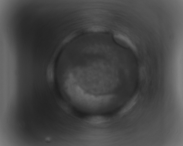 X0000101440203200807071409