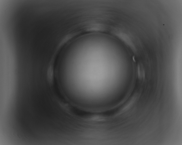 X0000101440204200807071409