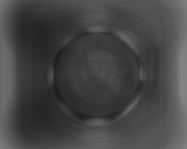 X0000101440205200807071409