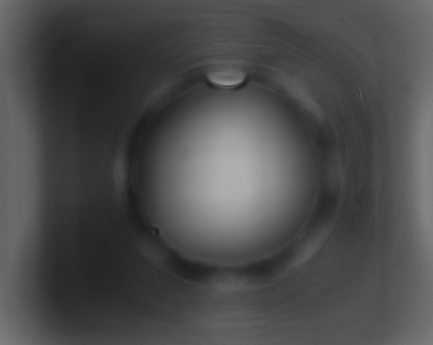 X0000101440207200807071409