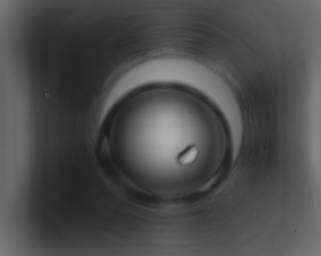 X0000101440208200807071409