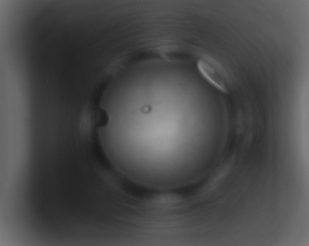 X0000101440210200807071409