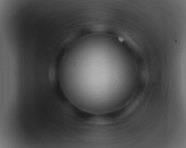 X0000101440211200807071409