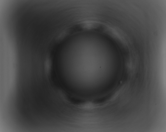 X0000101440219200807071409