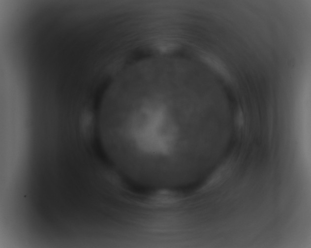 X0000101440222200807071409