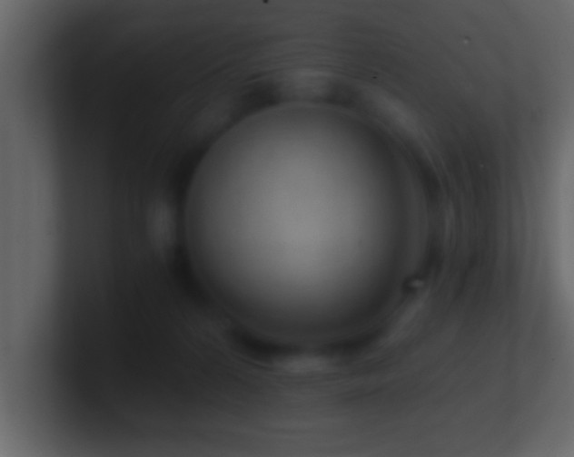 X0000101440224200807071409