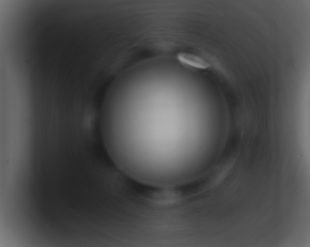 X0000101440225200807071409