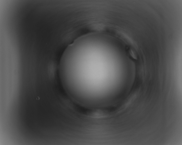 X0000101440229200807071409