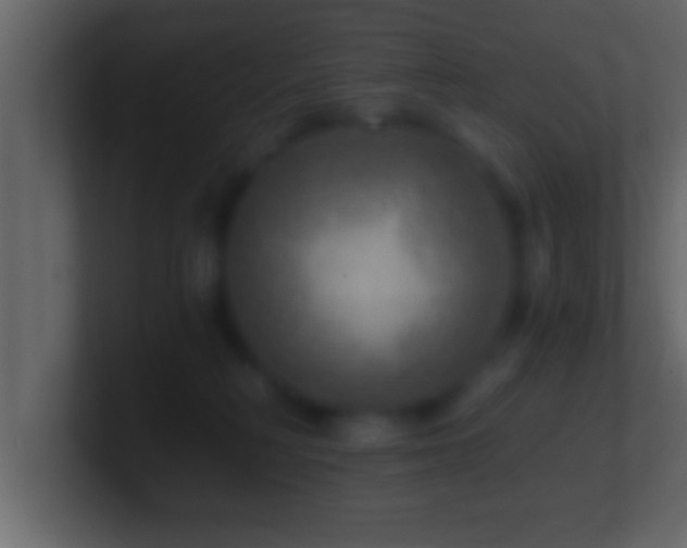 X0000101440230200807071409