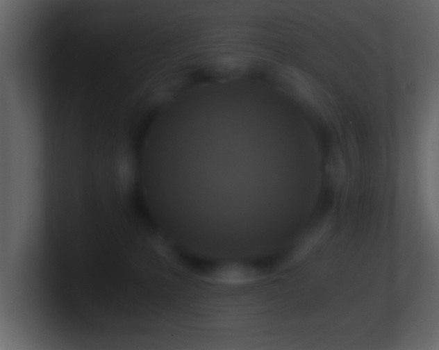 X0000101440231200807071409