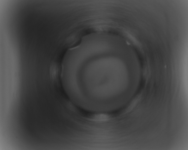 X0000101440233200807071409