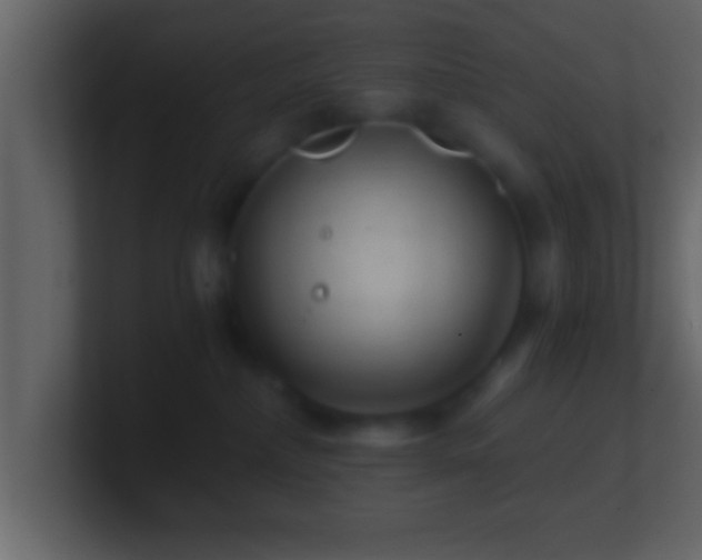 X0000101440236200807071409