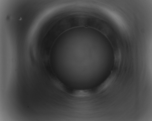 X0000101440239200807071409