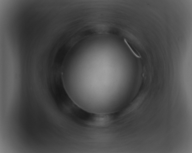 X0000101440240200807071409