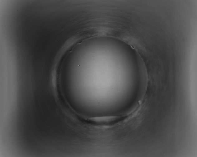 X0000101440242200807071408