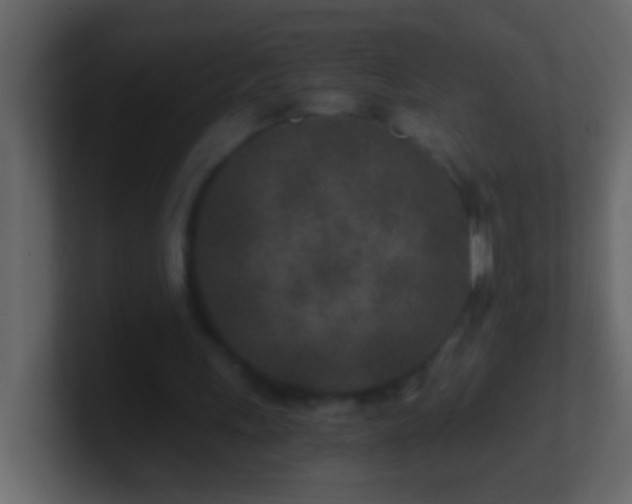 X0000101440243200807071408