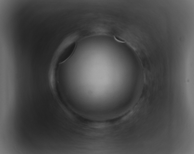 X0000101440245200807071408