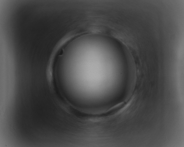 X0000101440246200807071408