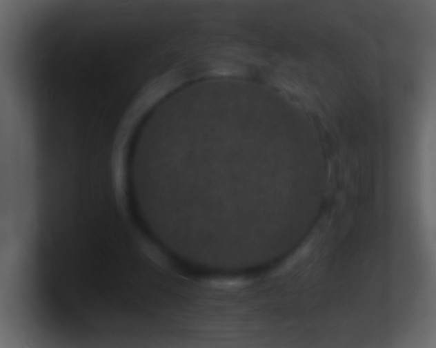 X0000101440247200807071408