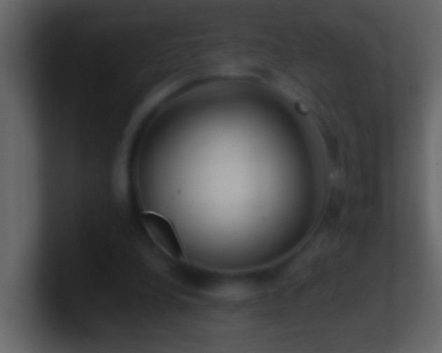 X0000101440248200807071408