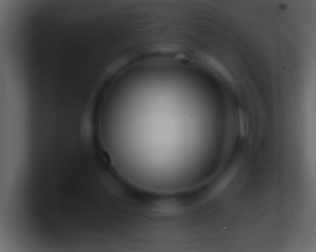 X0000101440252200807071408