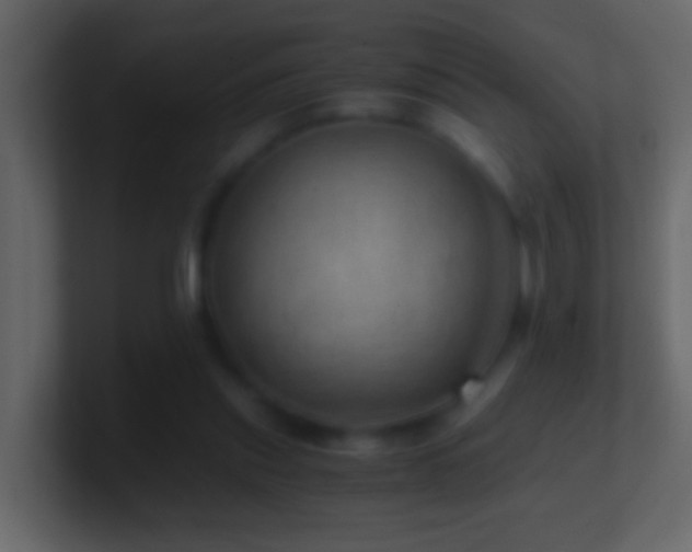 X0000101440253200807071408