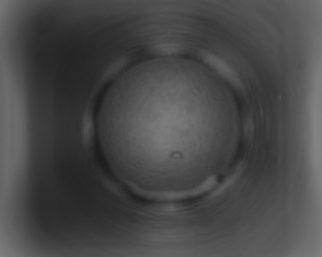 X0000101440254200807071408