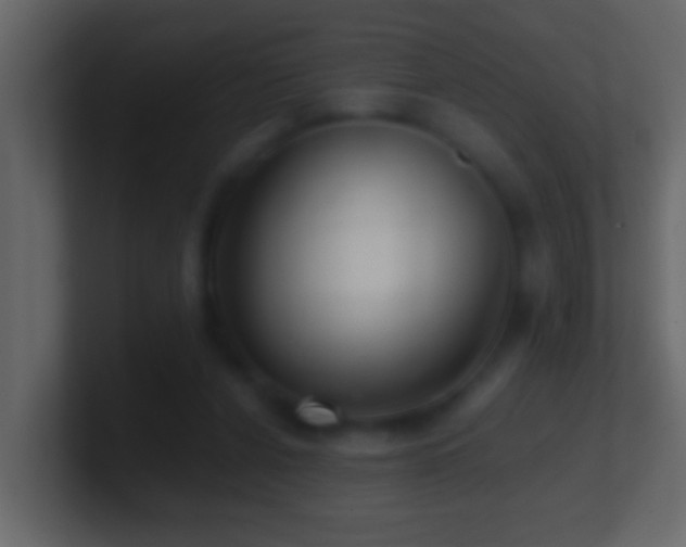 X0000101440256200807071408