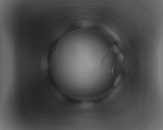 X0000101440257200807071408