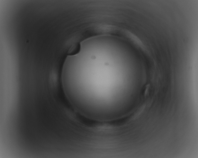 X0000101440258200807071408